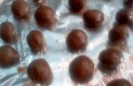 Regular Chocolate Truffles 