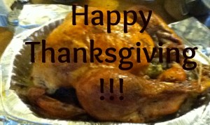Happy Thanksgiving!
