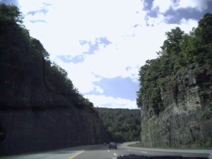 Looking for Happiness